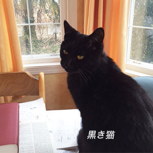 黒き猫